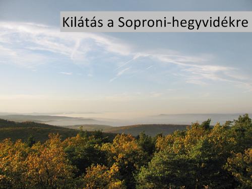 Kilátás a soproni Várhely-kilátóból