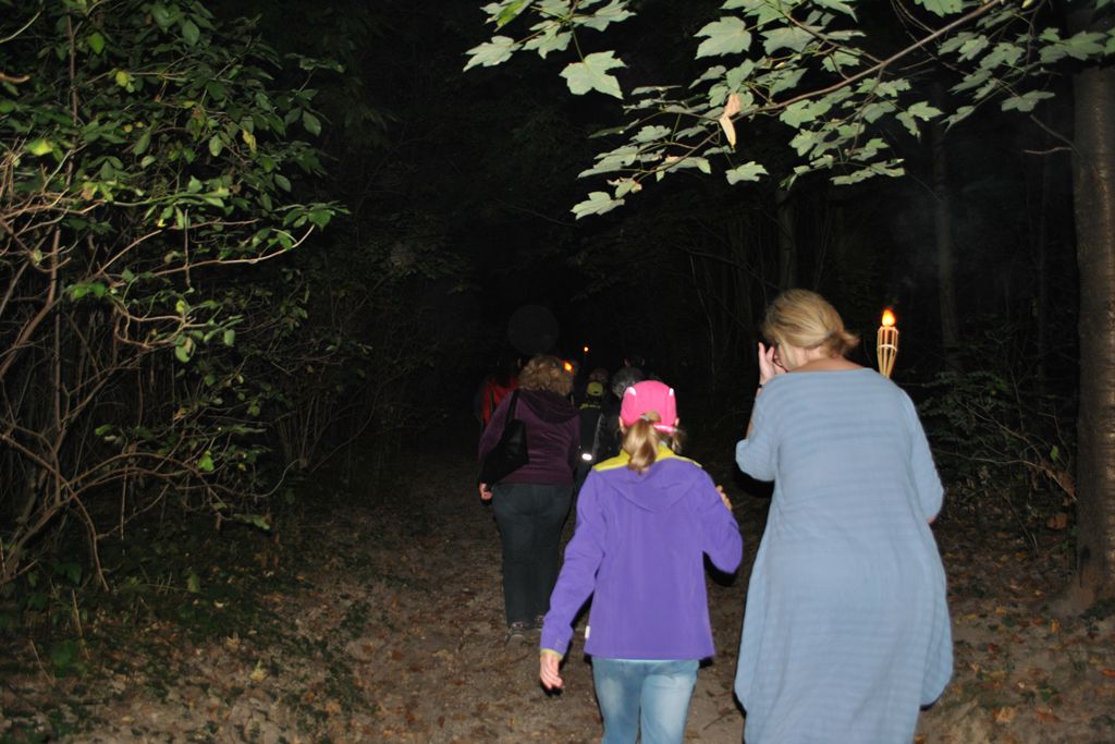 Fáklyákkal a soproni erdő alatt ismerkedve az éjszakai vadvilággal