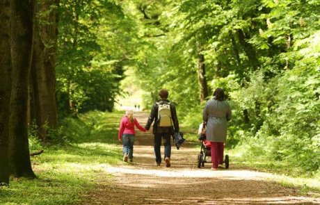 Könyű séta a Soproni Parkerdőben a Várisi sétaúton és Ojtozi sétányon