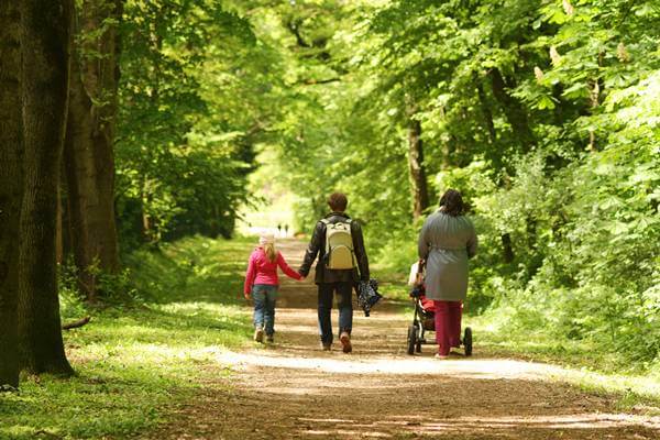 Könyű séta a Soproni Parkerdőben a Várisi sétaúton és Ojtozi sétányon