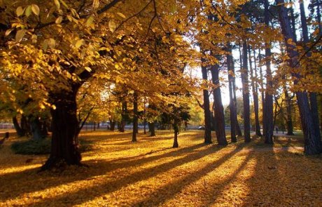 A soproni Erzsébet-kert fényei egy őszi séta közben.