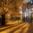 A soproni Erzsébet-kert fényei egy őszi séta közben.